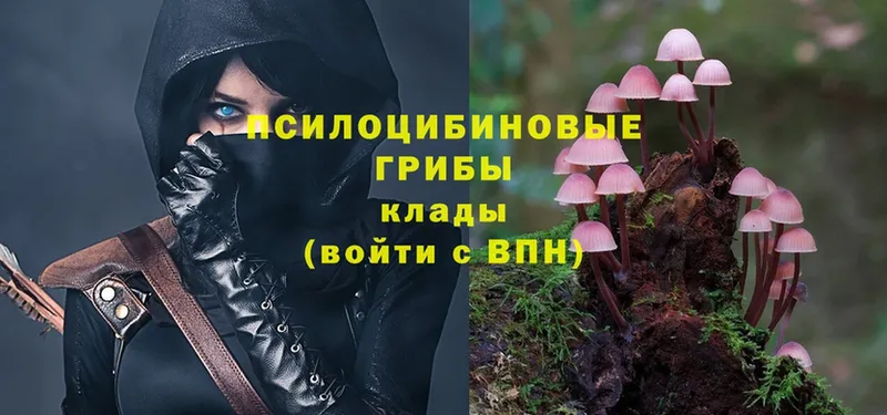 Псилоцибиновые грибы MAGIC MUSHROOMS  Бугульма 